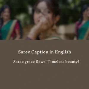 Saree Caption in English 