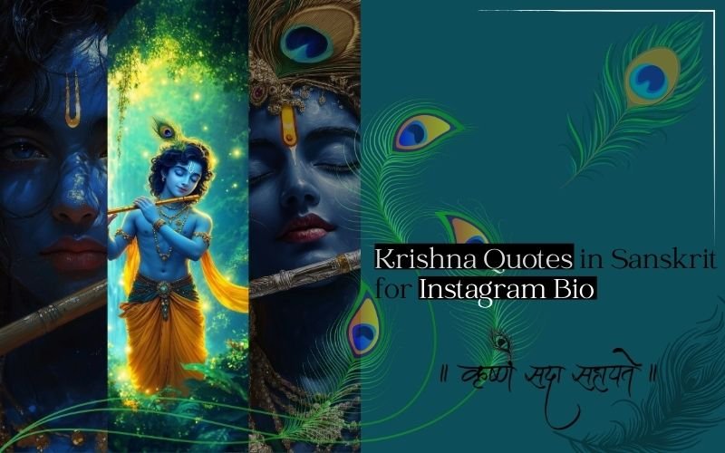 380+ Perfect Krishna Quotes in Sanskrit for Instagram Bio Library Krishna Quotes in Sanskrit for Instagram Bio